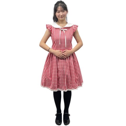 레드 체크원피스