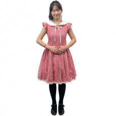 레드 체크원피스